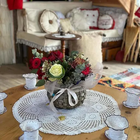 Bujtina Boci Villa Librazhet